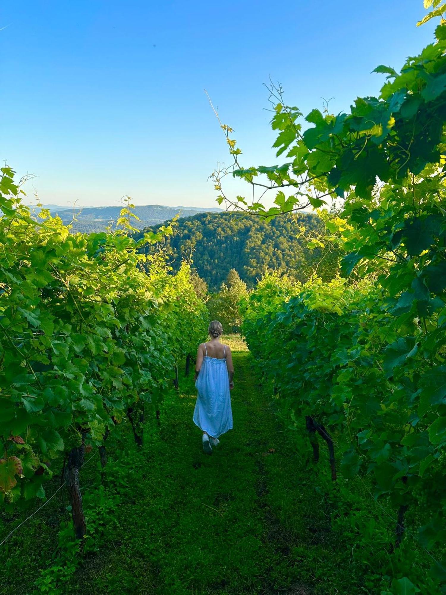 Zerko Holiday Home - Vineyard Chalet With Sauna And Jacuzzi Free Mirna Eksteriør bilde