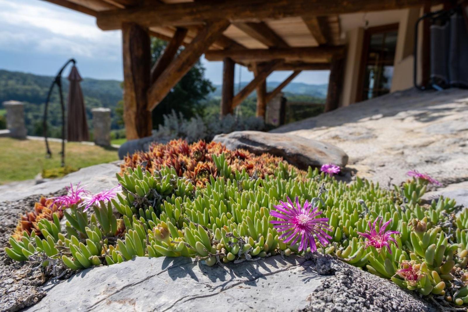 Zerko Holiday Home - Vineyard Chalet With Sauna And Jacuzzi Free Mirna Eksteriør bilde