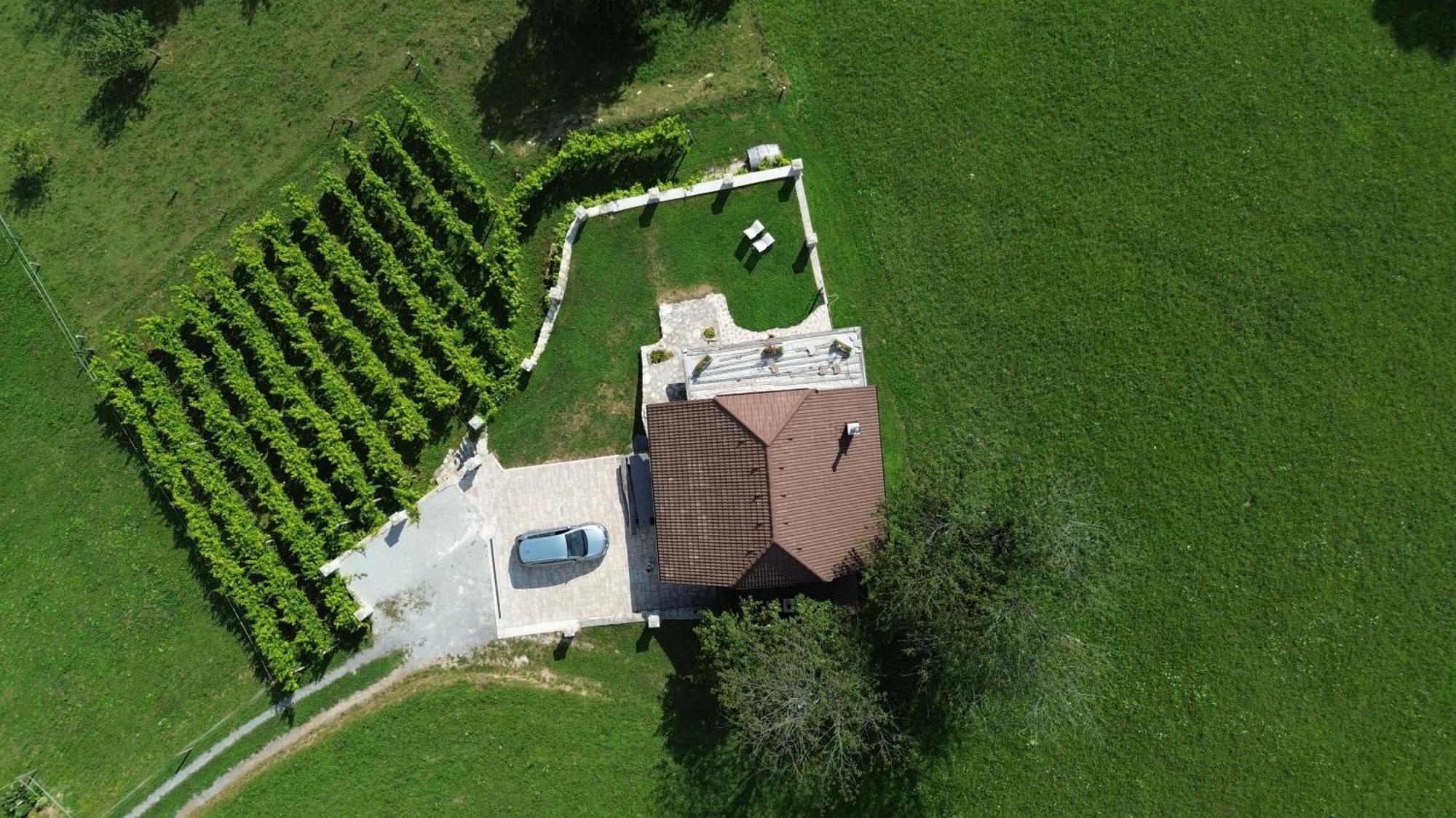 Zerko Holiday Home - Vineyard Chalet With Sauna And Jacuzzi Free Mirna Eksteriør bilde